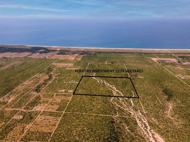 Playitas Investment 8.67 Has, Las Playitas, Pacific
