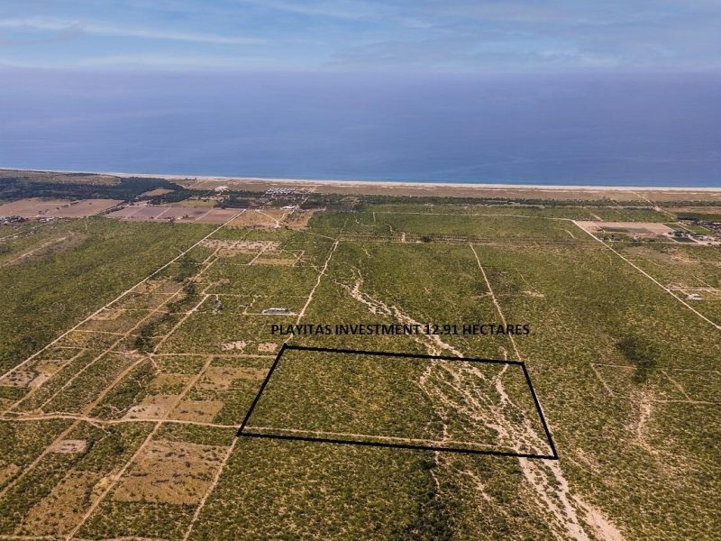 Playitas Investment 12.91 Has, Las Playitas, Pacific