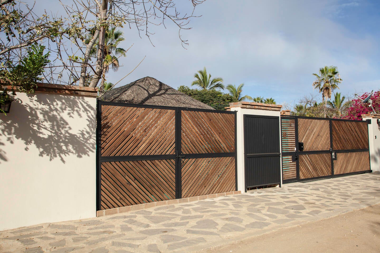9 Mutualismo, Todos Santos-General, Pacific, photo 5
