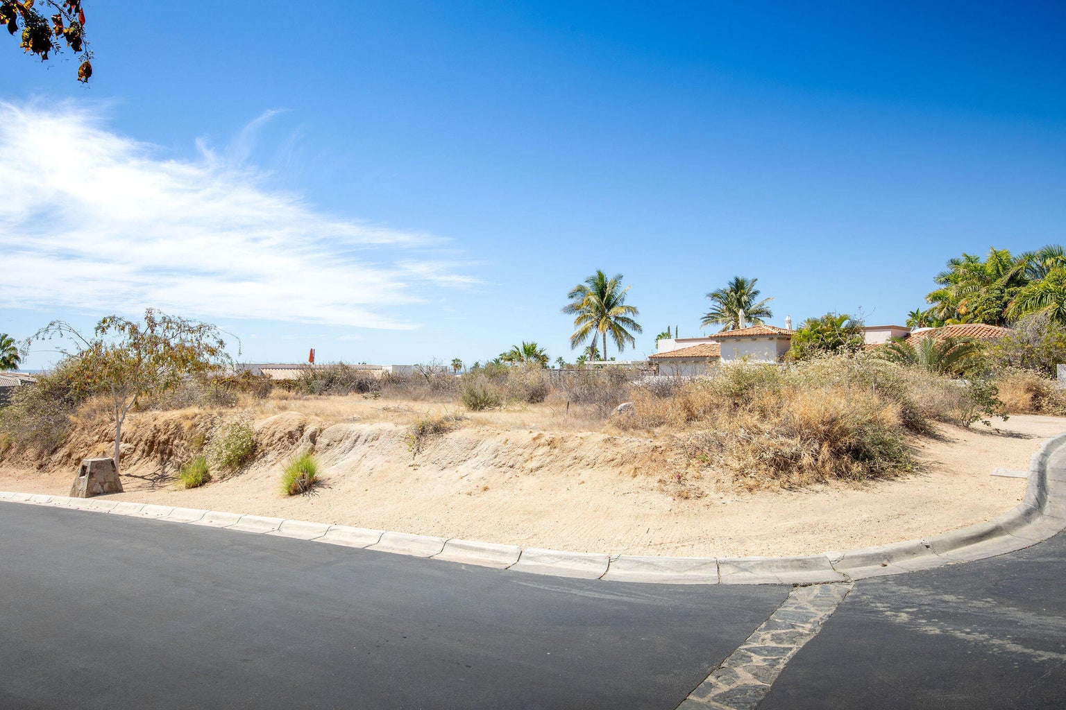 Lot 313 Camino del Faro, Las Residencias, Cabo Corridor, photo 4