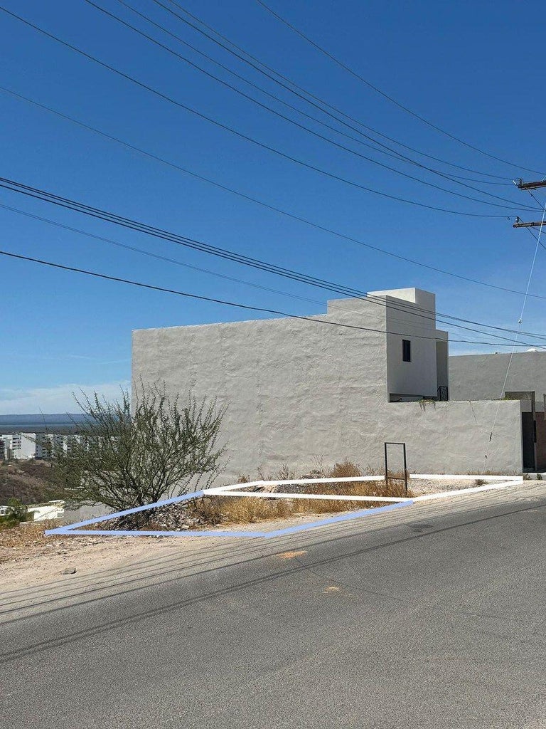 Aripes, Lomas de Palmira, La Paz, photo 2