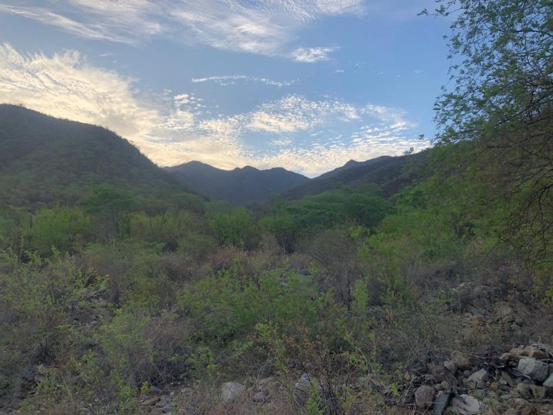 Lot in Ejido Juan Dominguez Cota, La Paz