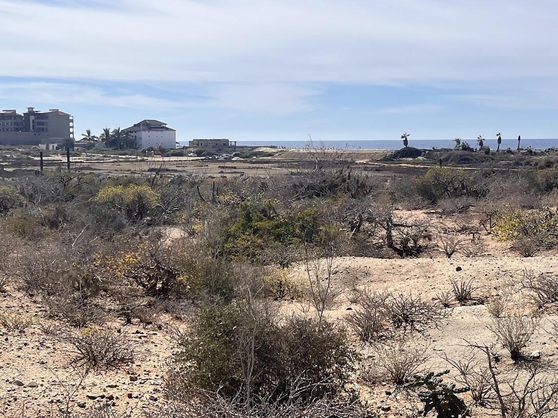 Double Lot Two Blocks From Beach, Cerritos, Pacific, photo 4