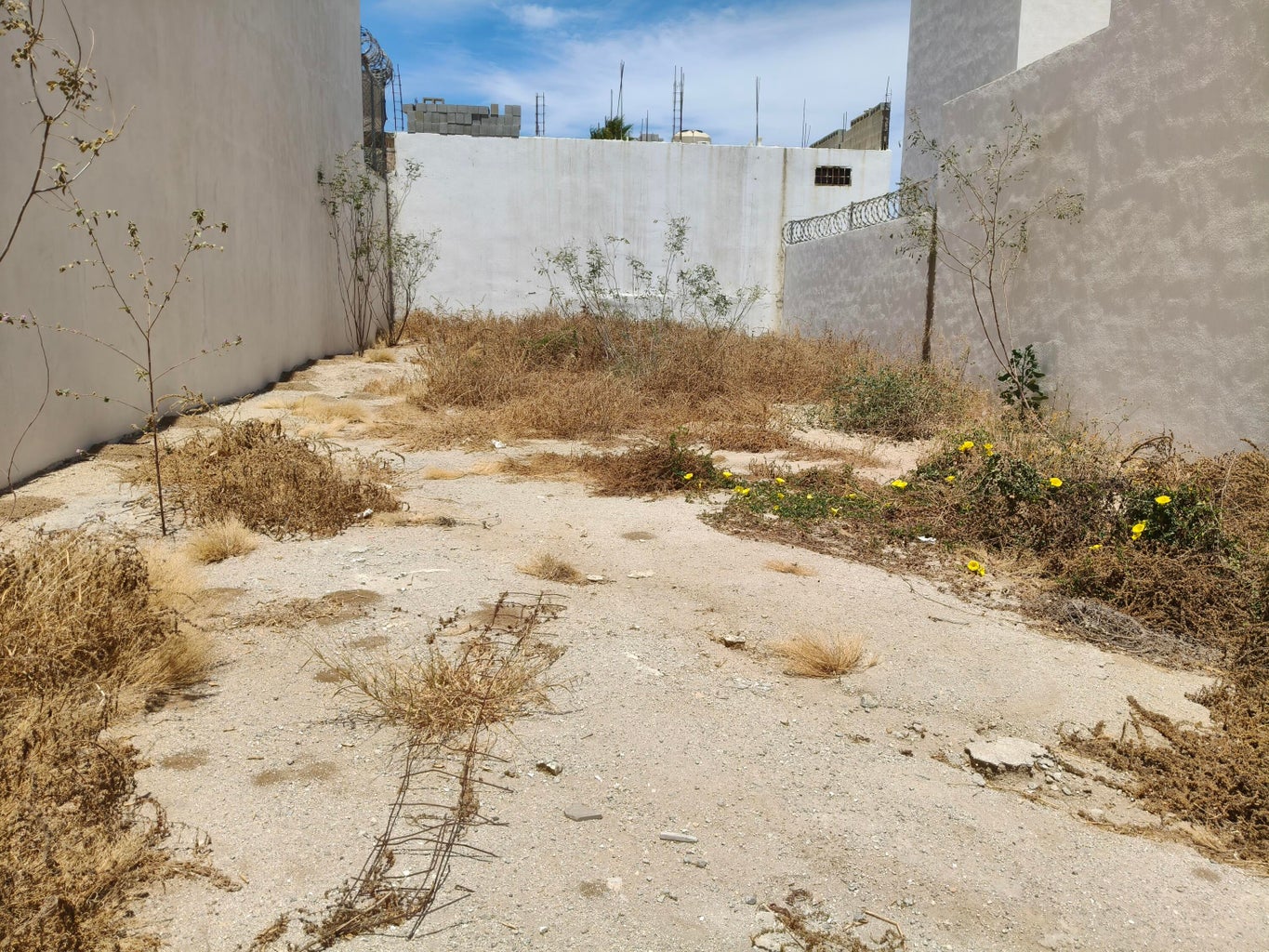Lot in Lomas del Pacifico, Cabo San Lucas, photo 4