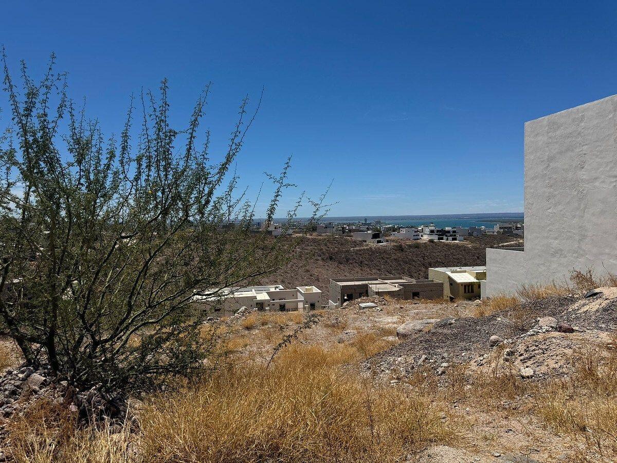 Aripes, Lomas de Palmira, La Paz, photo 5