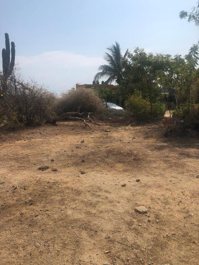 D010 LOS BARRILES, East Cape, photo 2