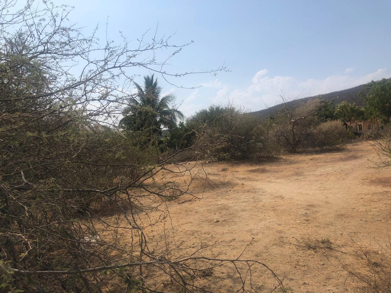 D010 LOS BARRILES, East Cape, photo 3