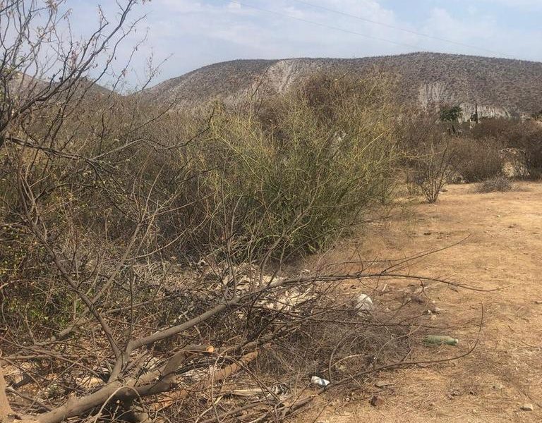 D010 LOS BARRILES, East Cape