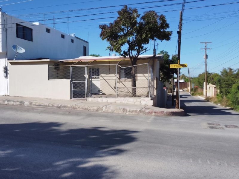 Damiana Corner Rosarito, El Rosarito, San Jose del Cabo