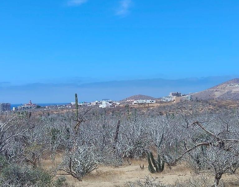 Lot in Cerritos, Pacific