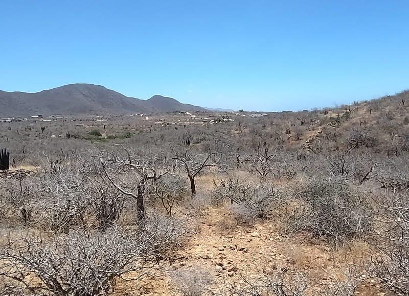Lot in Pescadero, Pacific