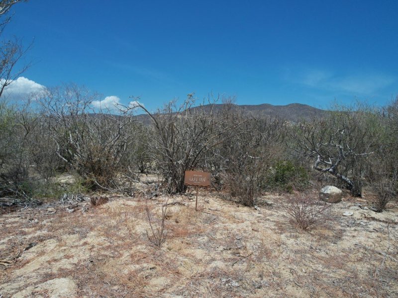 Lot in Colina del Sol, East Cape
