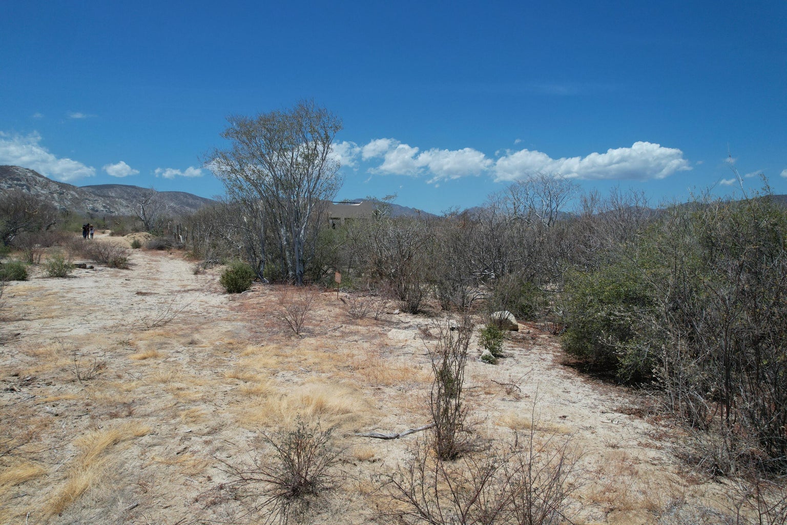Lot in Colina del Sol, East Cape, photo 3