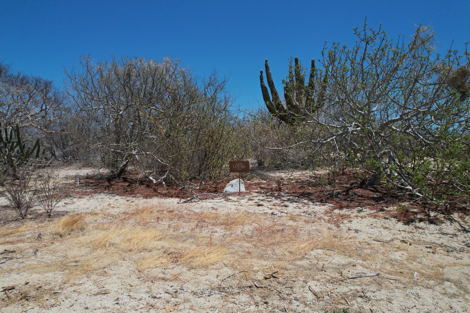 Circuito del Sol, Colina del Sol, East Cape, photo 2