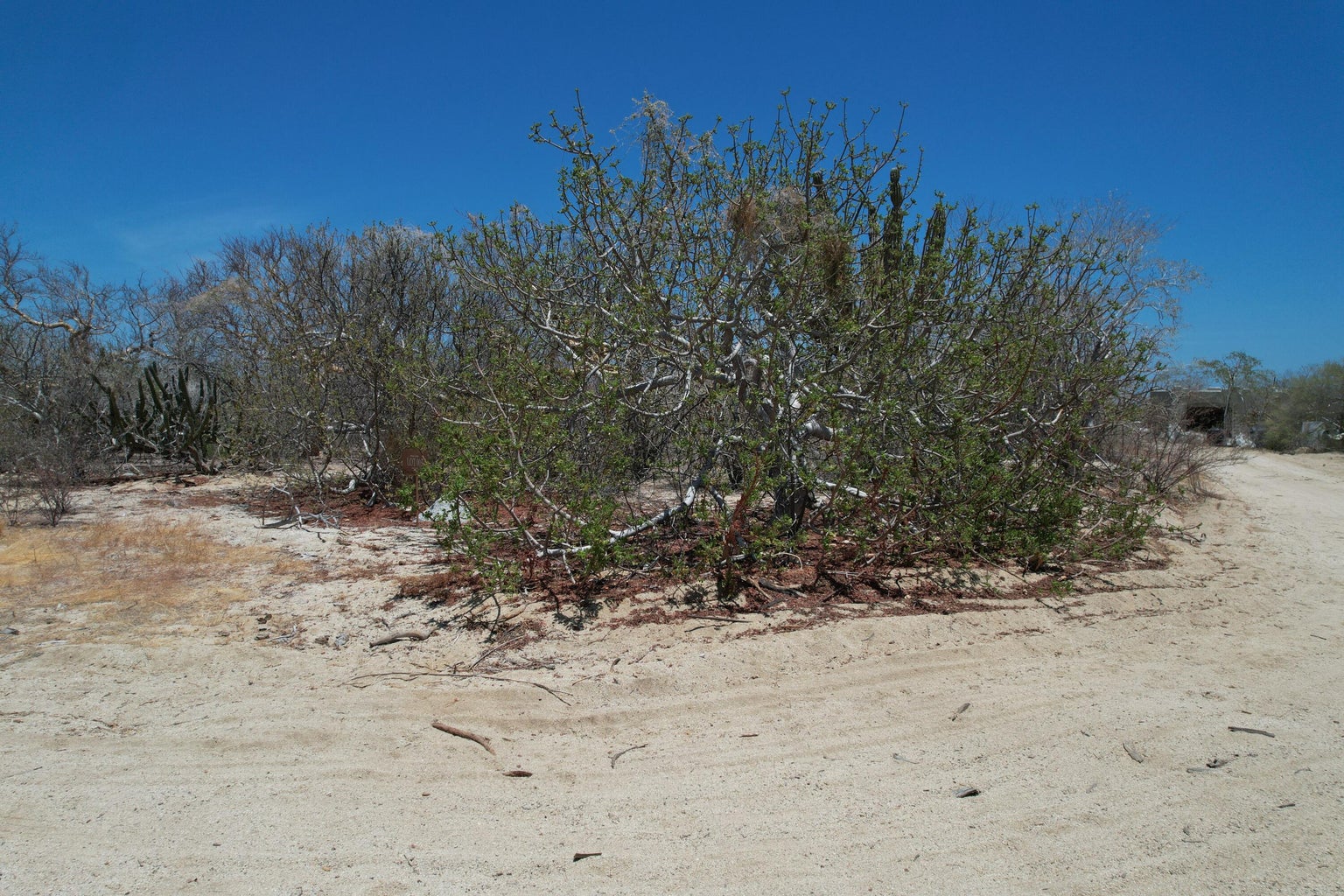 Circuito del Sol, Colina del Sol, East Cape, photo 3