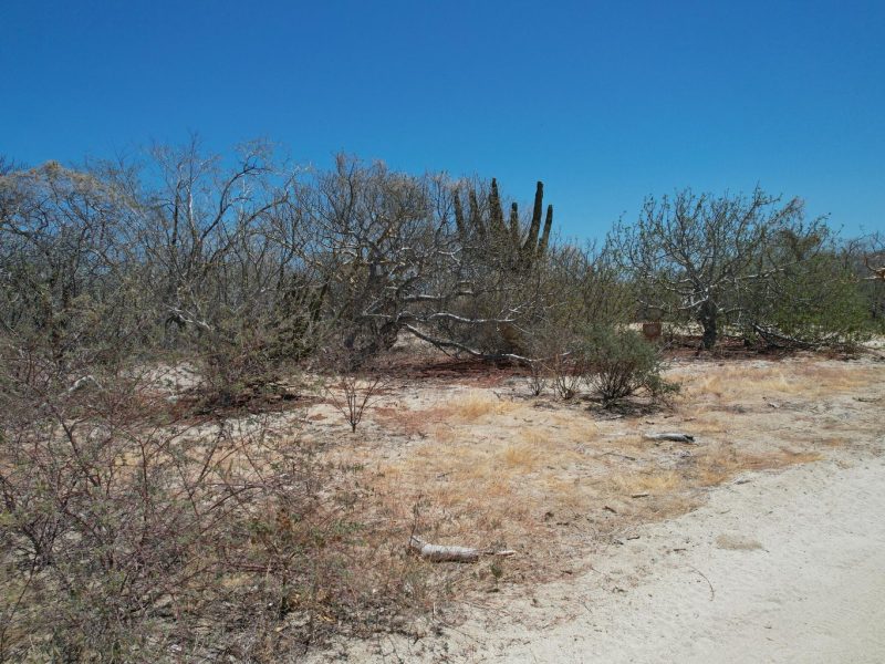 Circuito del Sol, Colina del Sol, East Cape