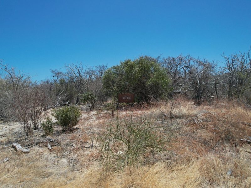 Colina de las Cueva, Colina del Sol, East Cape