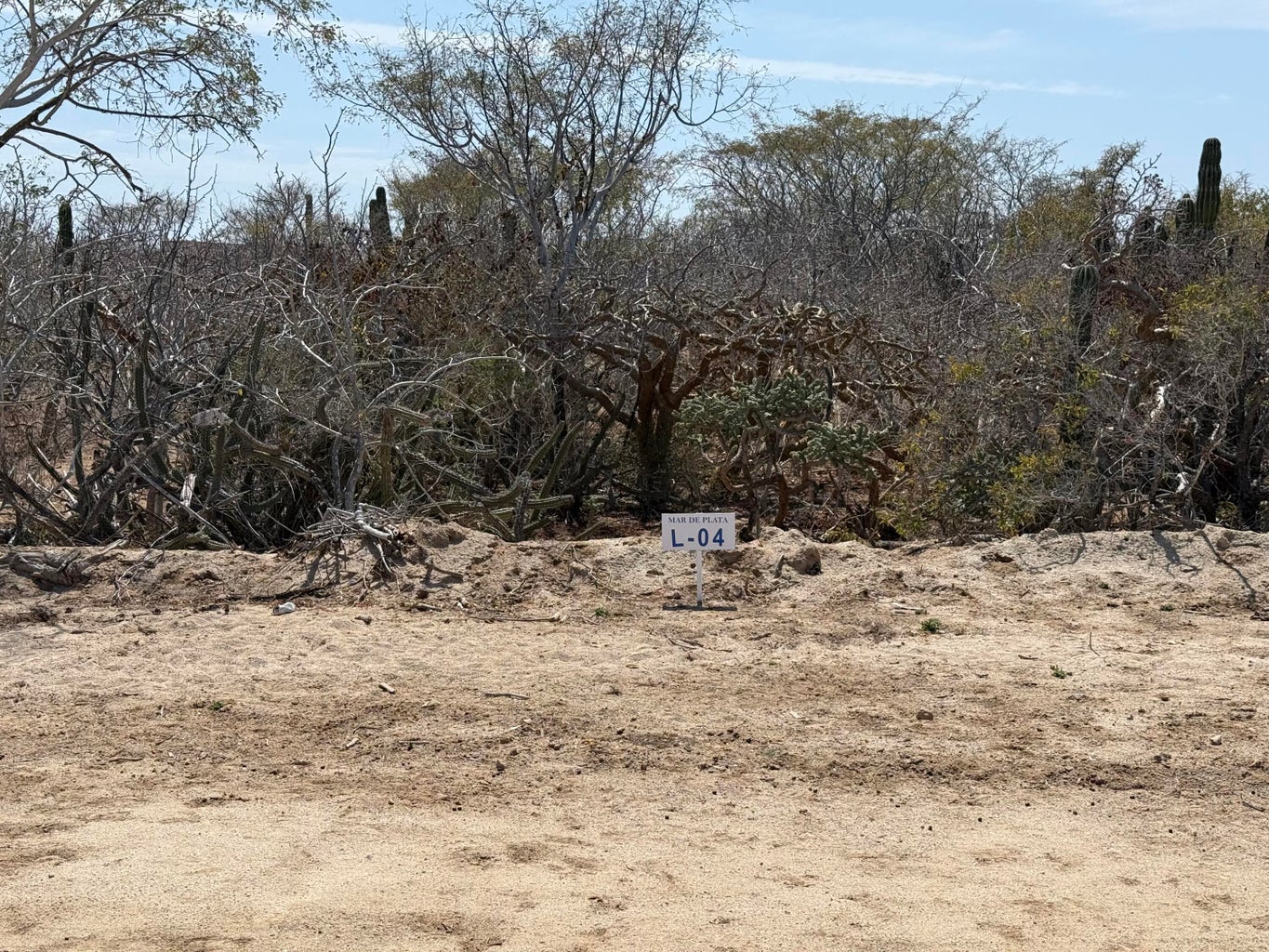 Lot in Shipwrecks, East Cape, photo 5