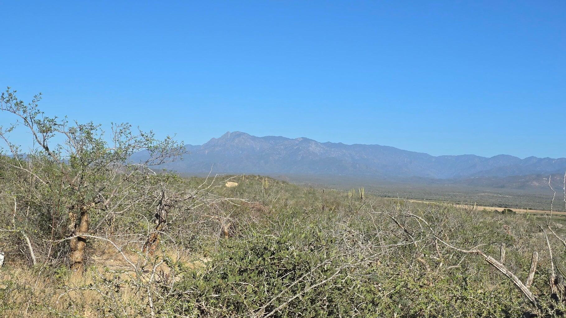 Lot in Todos Santos Nth-Gen, Pacific, photo 3