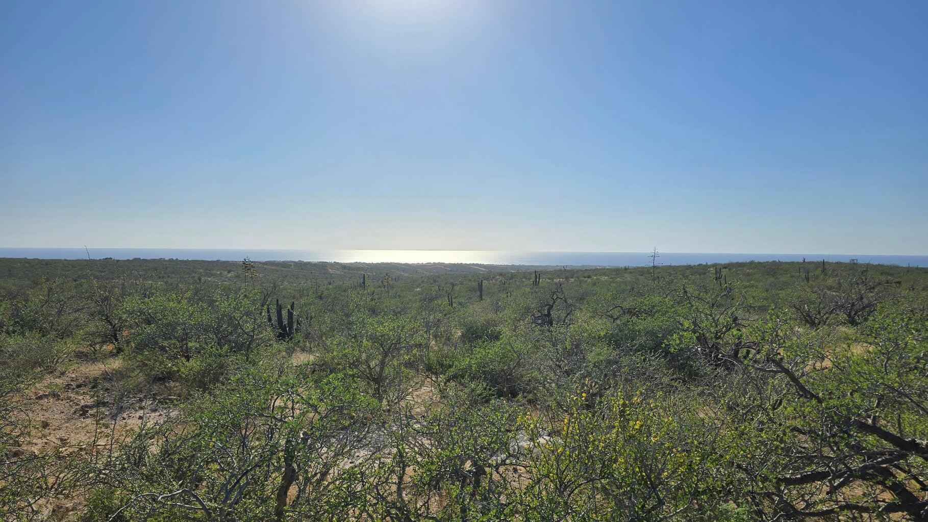 Lot in Todos Santos-General, Pacific, photo 2