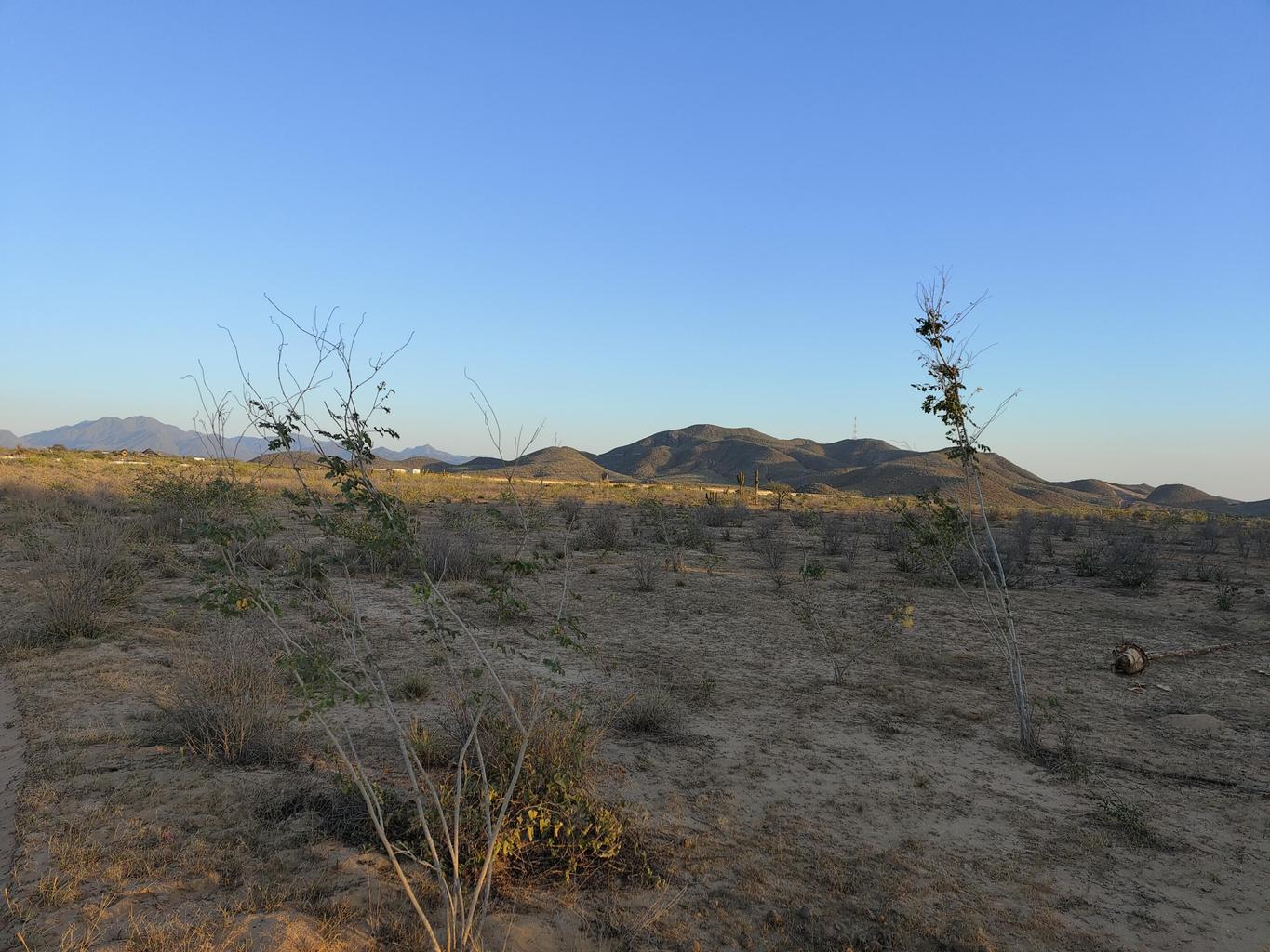 rancho la laguna 1, Rancho Nuevo, Pacific, photo 4