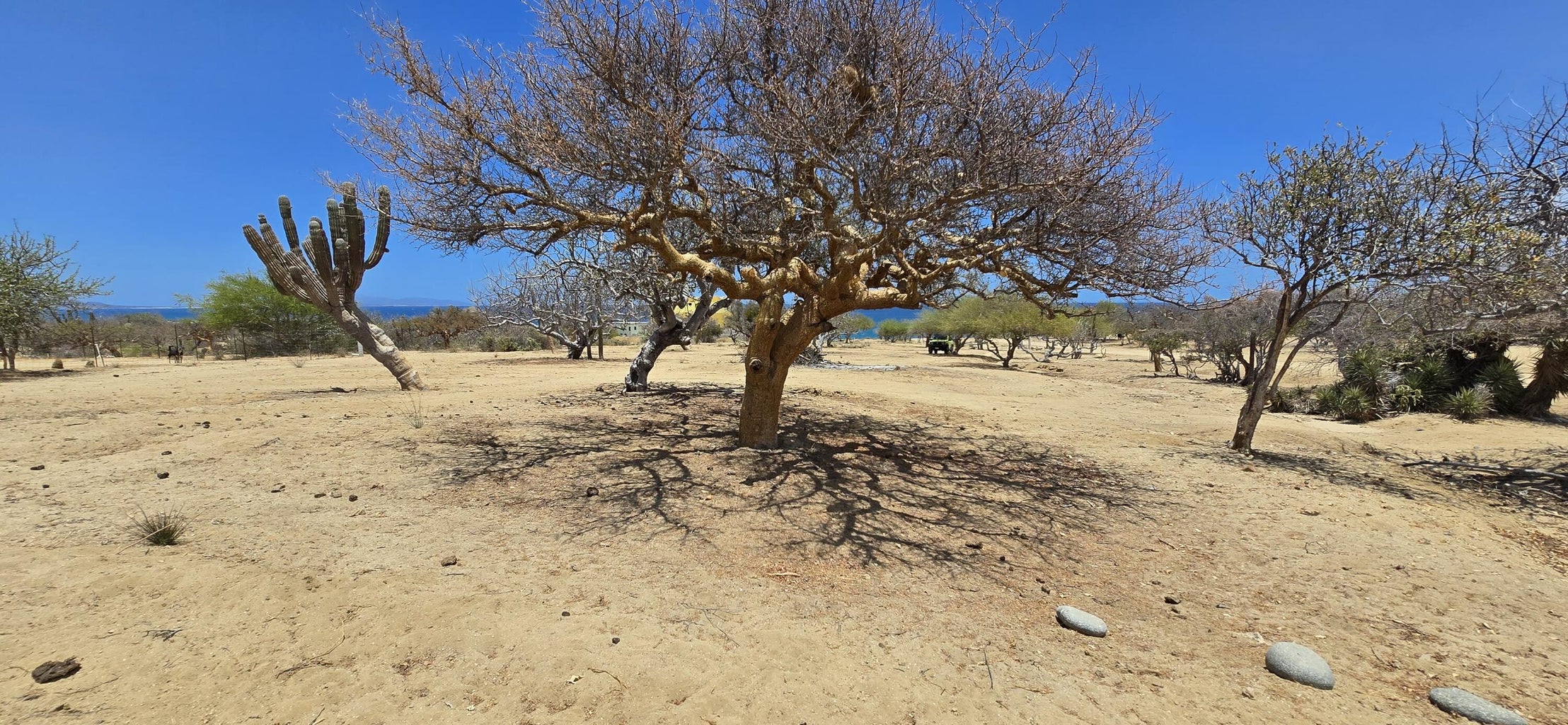 Los Barriles- Santa Teresa, Boca del Alamo, East Cape, photo 2