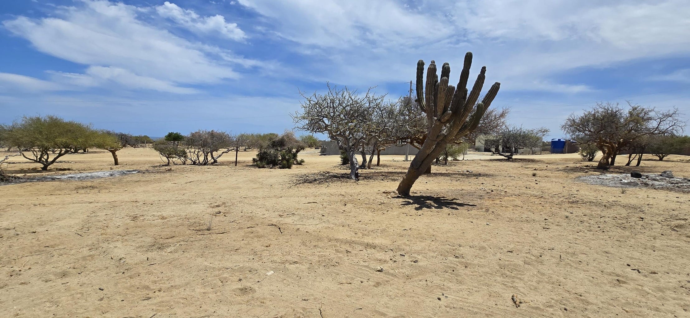 Los Barriles- Santa Teresa, Boca del Alamo, East Cape, photo 5
