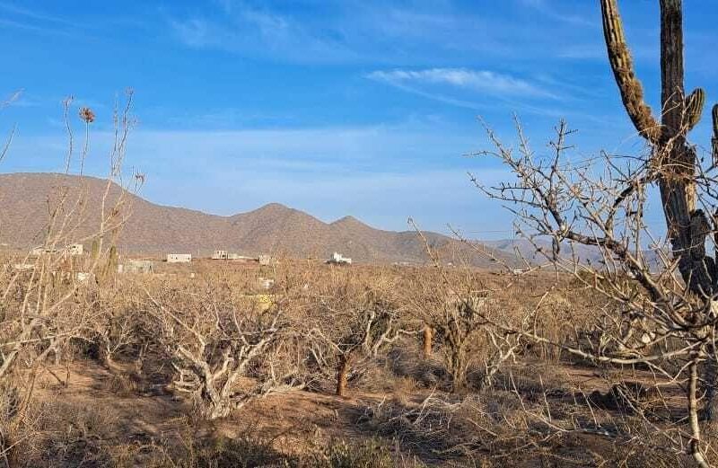 Lot in Cerritos, Pacific