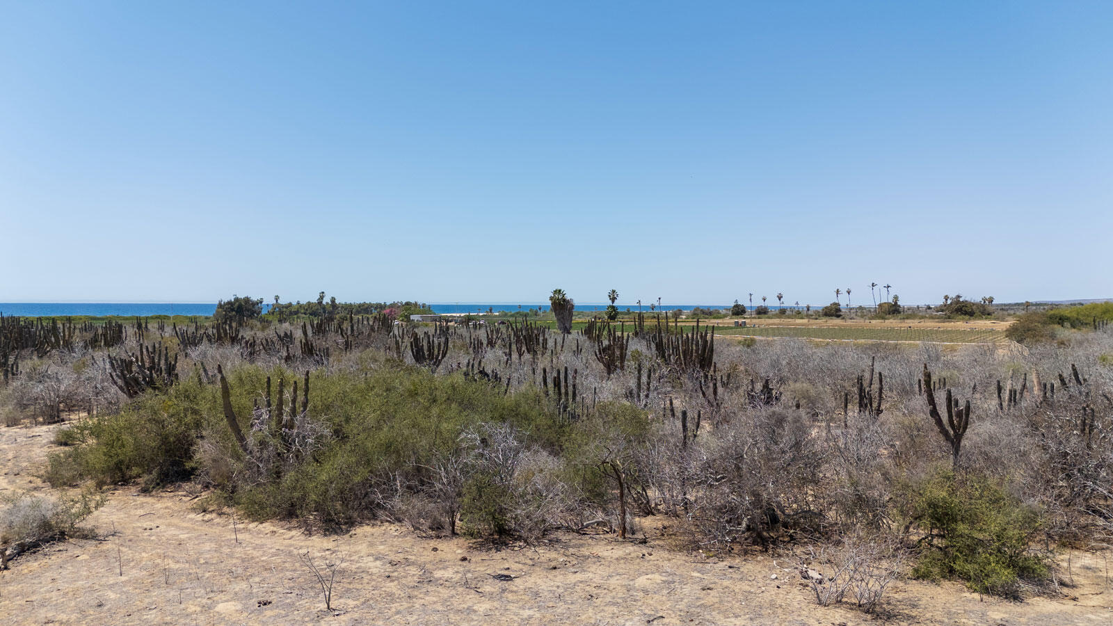 Lot in La Pastora, Pacific, photo 3