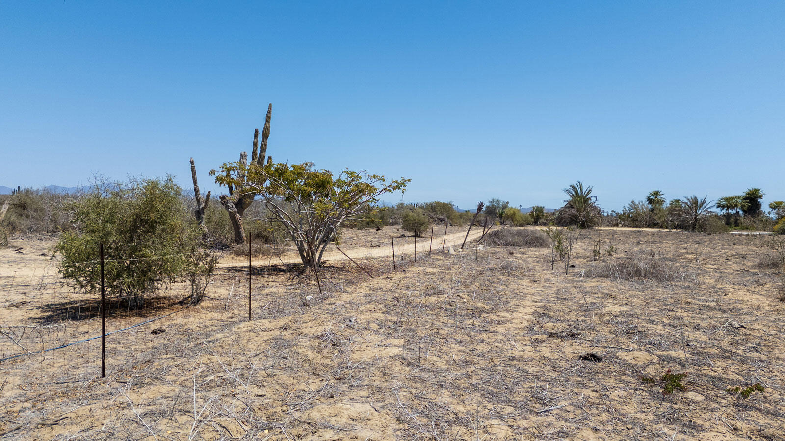 Lot in La Pastora, Pacific, photo 4