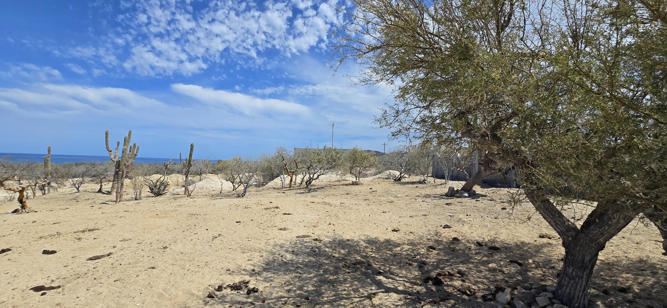 ABP#41 Sur, Las Tinas, East Cape, photo 2