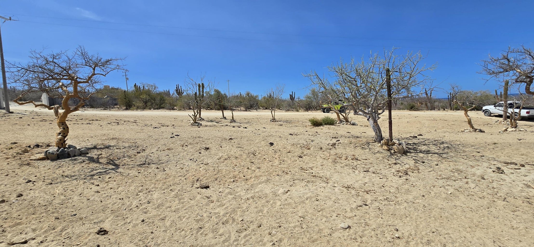 ABP#41 Sur, Las Tinas, East Cape, photo 5