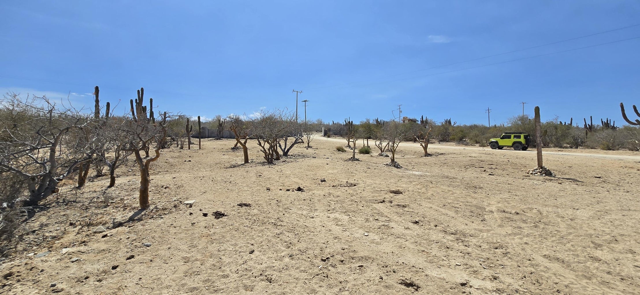 ABP#41 Sur, Las Tinas, East Cape, photo 4