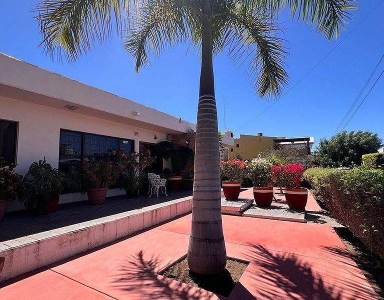 Felix Ortega, Centro, La Paz