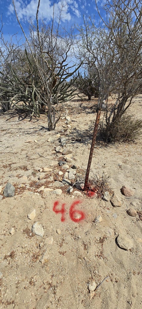 ABP#46 Sur Los Barriles-Santa Teresa, Las Tinas, East Cape, photo 2