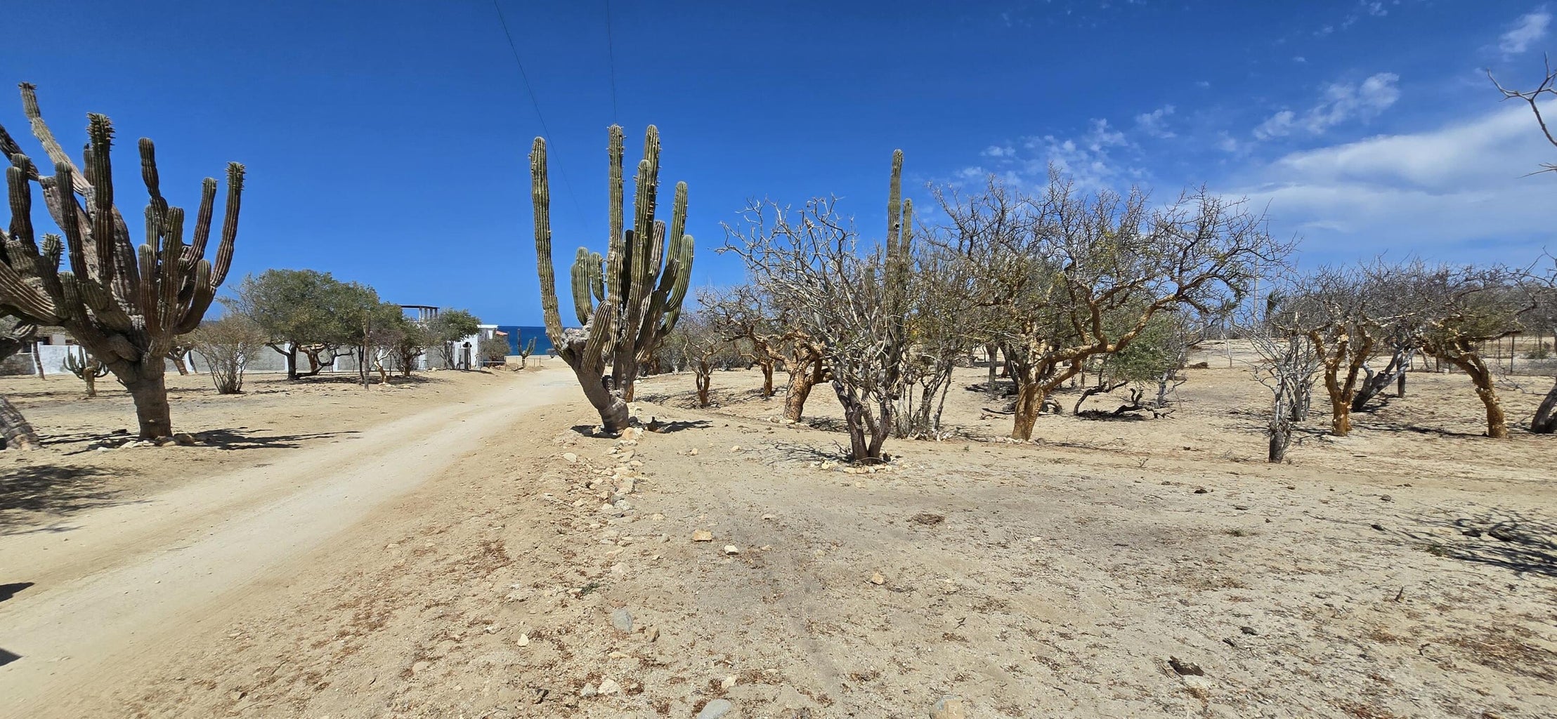 ABP#46 Sur Los Barriles-Santa Teresa, Las Tinas, East Cape, photo 3
