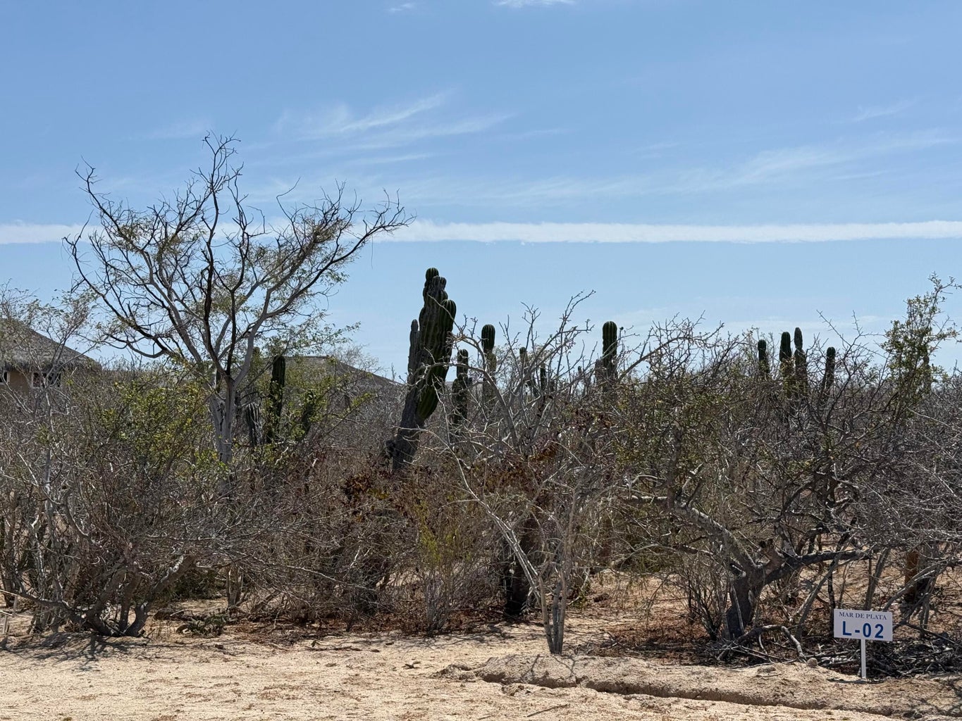 Lot in Shipwrecks, East Cape, photo 2