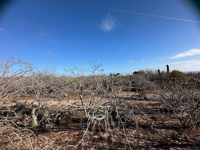 Lot in Las Playitas, Pacific, photo 3