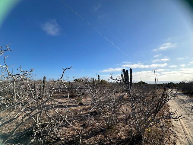 Lot in Las Playitas, Pacific, photo 5
