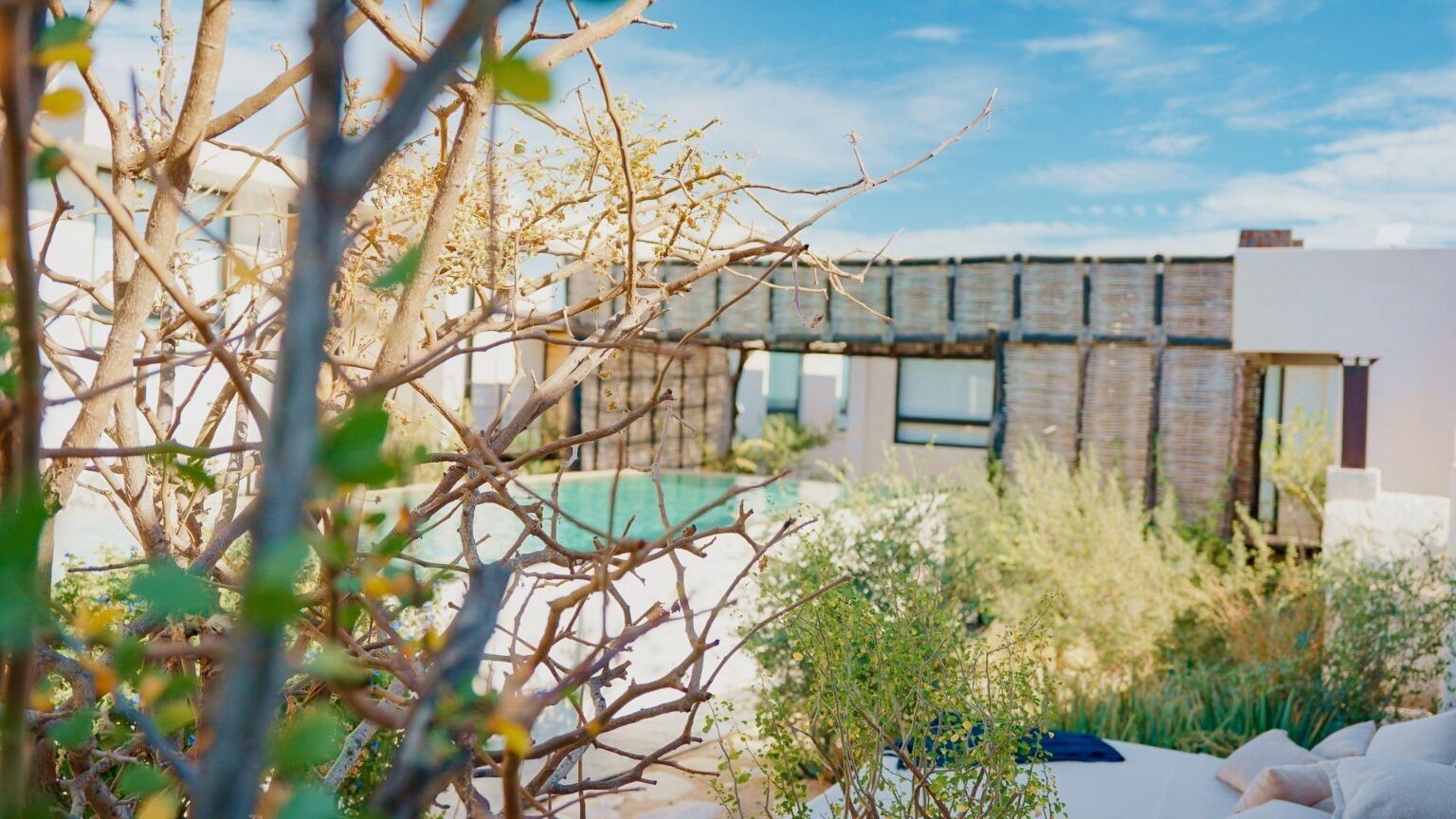 Commercial Property in Centro-Todos Santos, Pacific, photo 4