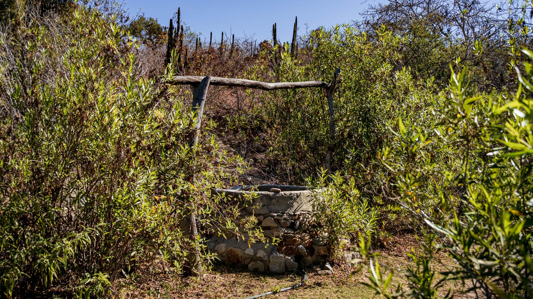 Jesus Maria, Elias Calles, Pacific, photo 5