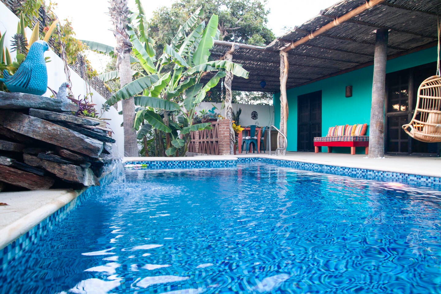 9 Mutualismo, Todos Santos-General, Pacific, photo 2