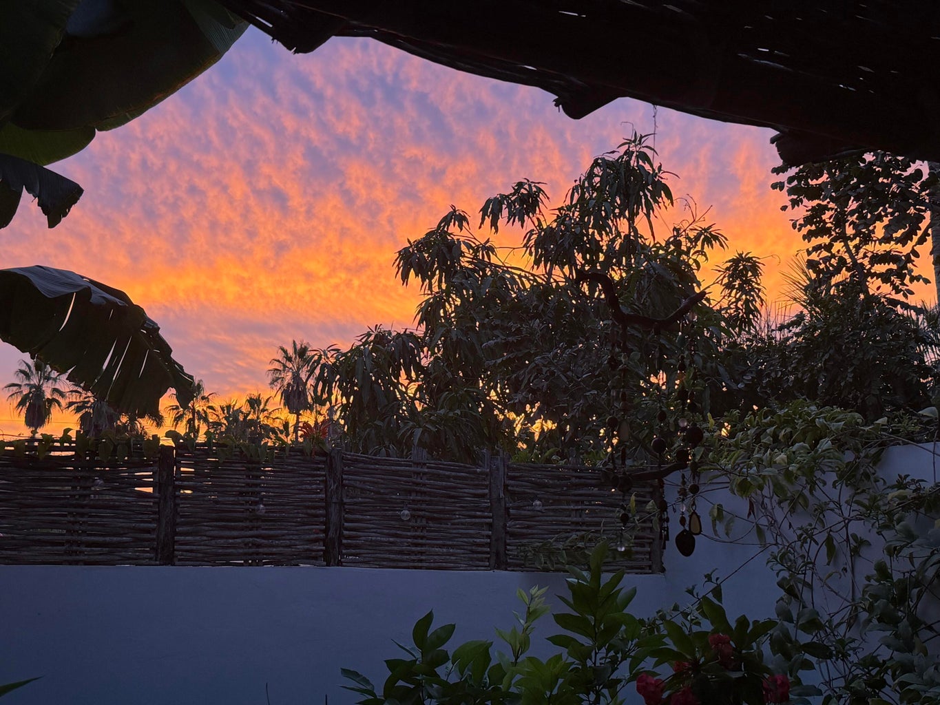 9 Mutualismo, Todos Santos-General, Pacific, photo 3