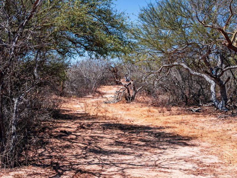 Fraccion E De la fracción 4, Cabo Pulmo, East Cape
