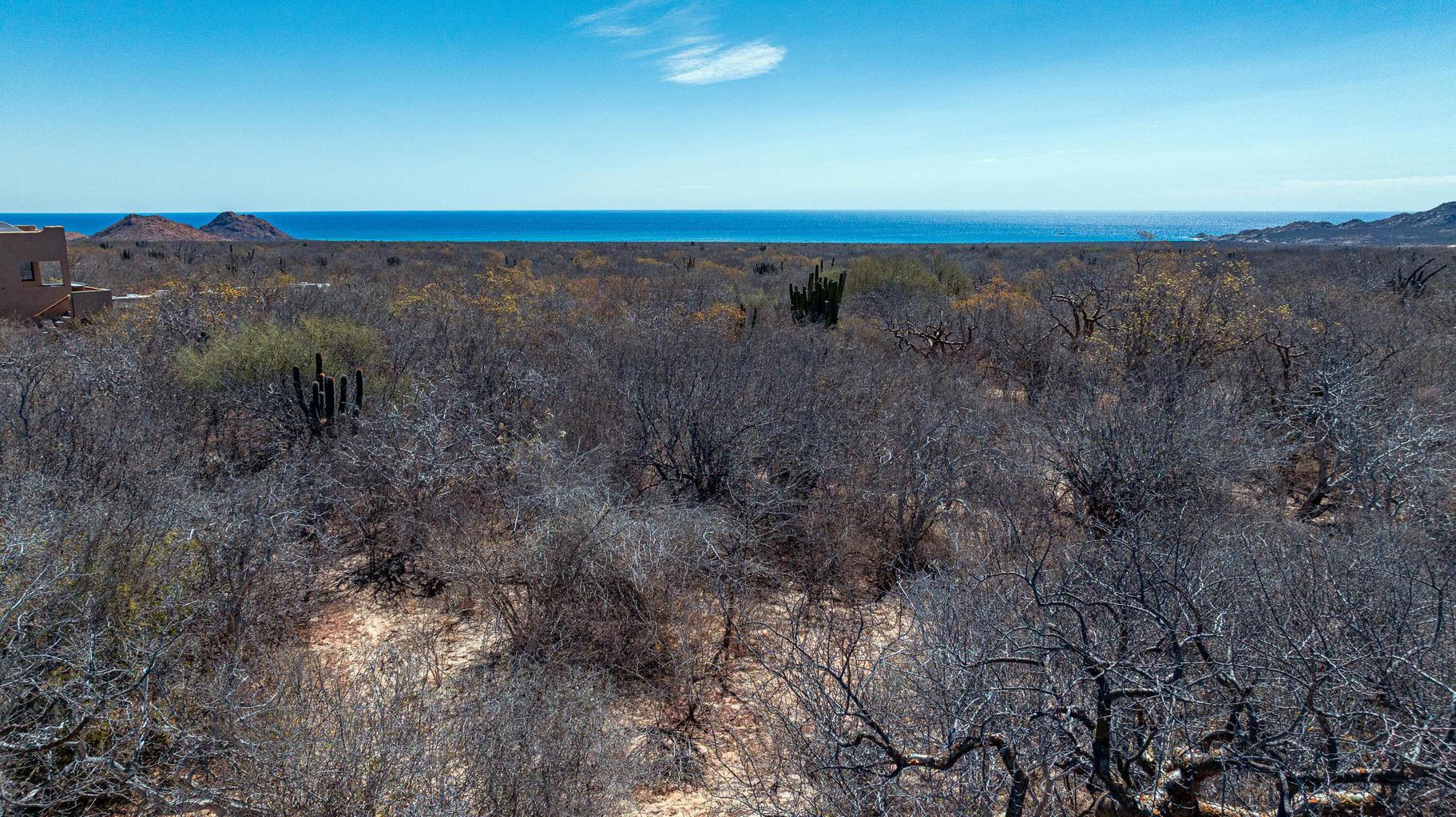 Fraccion E De la fracción 4, Cabo Pulmo, East Cape, photo 5