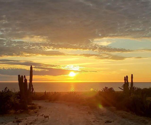 calle sin nombre, Las Playitas, Pacific