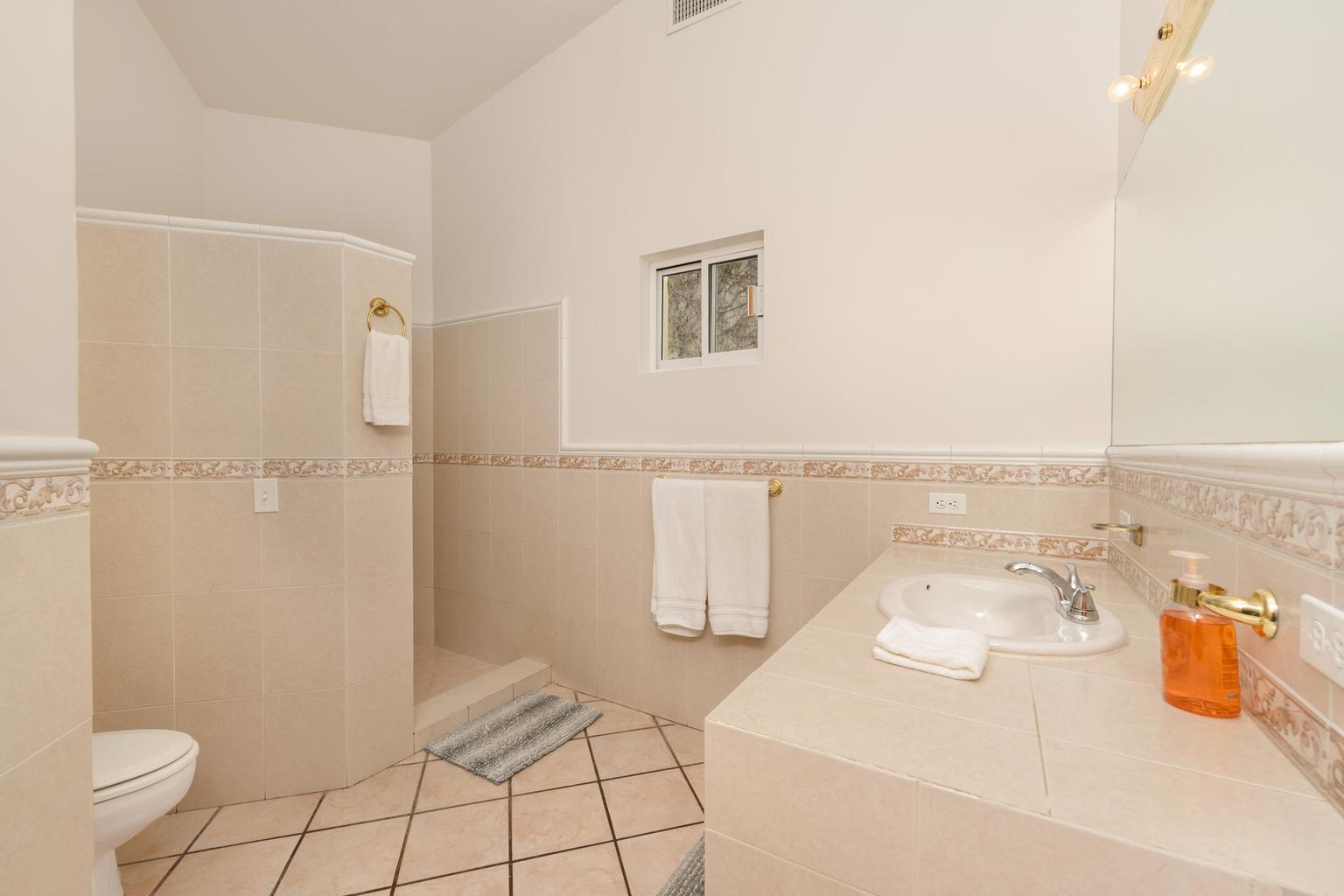 25 CAMINO DEL PACIFICO BAJO, Pedregal CSL, Cabo San Lucas, photo 4