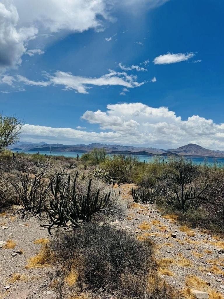 Brecha S/N, Bahía asunción, General, Mulege, photo 5