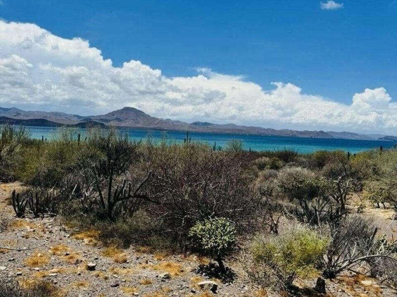 Brecha S/N, Bahía asunción, General, Mulege