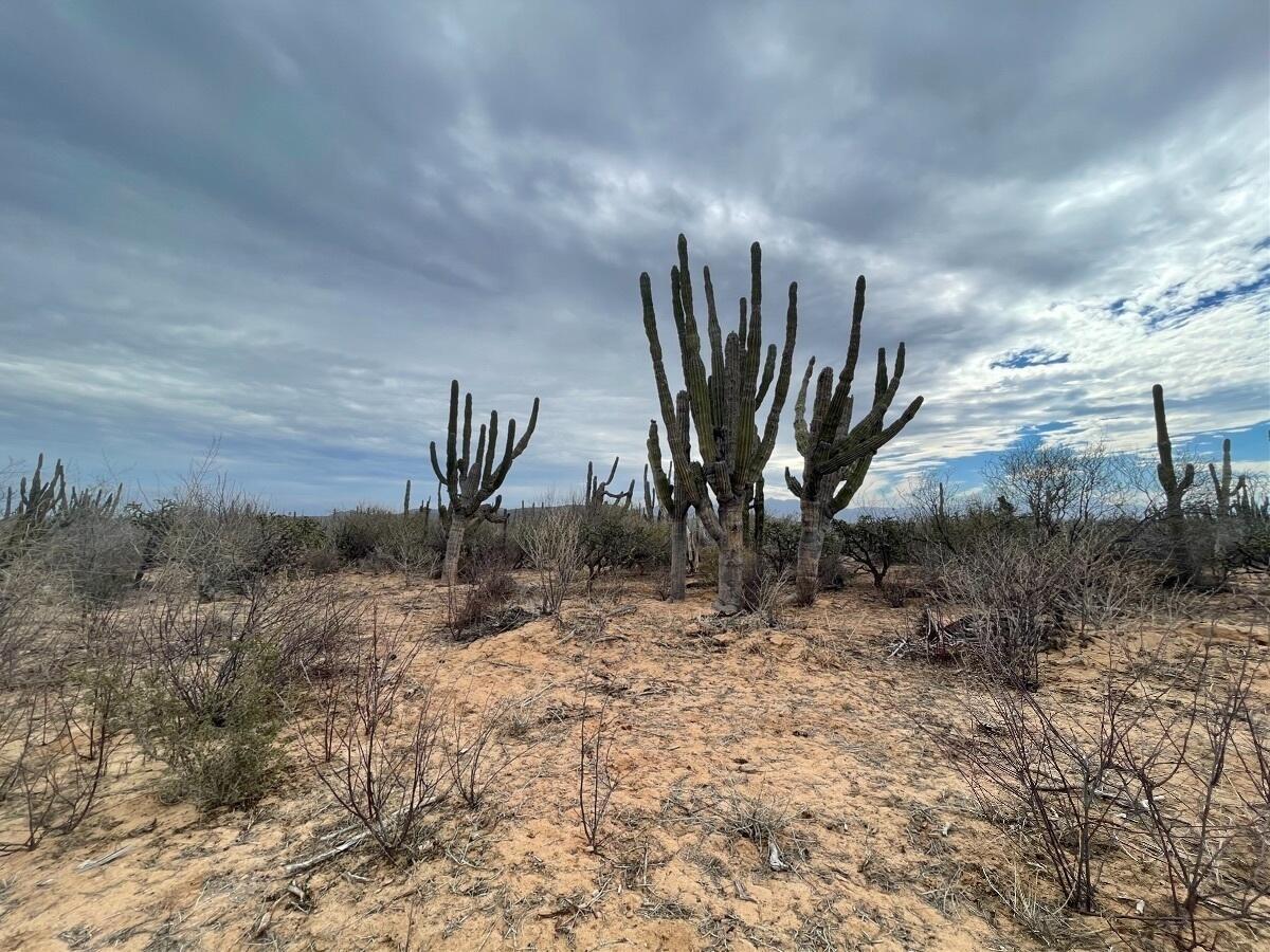 Lot in Ejido Juan Dominguez Cota, La Paz, photo 5